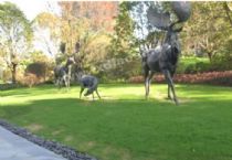 動(dòng)物雕塑BR254