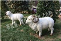 動(dòng)物雕塑FI144